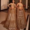 Gold Lehenga Set